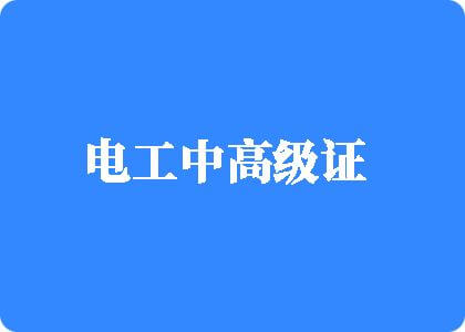 meinvnenxueshipin电工中高级证